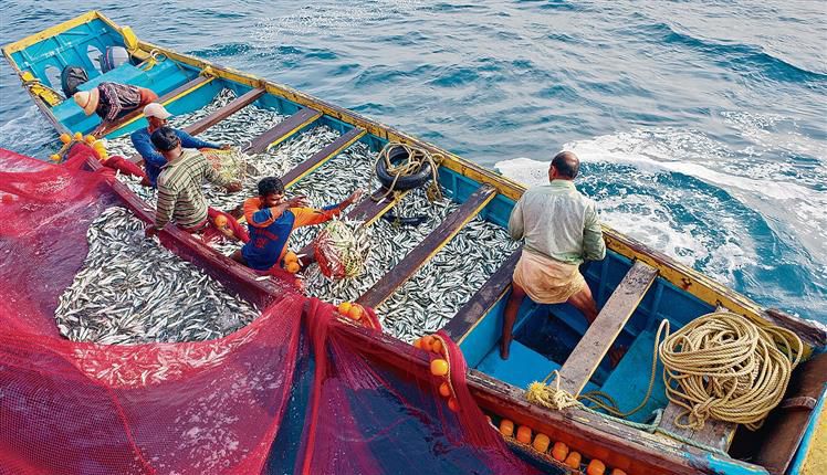 Boosting the fisheries’ ecosystem in India