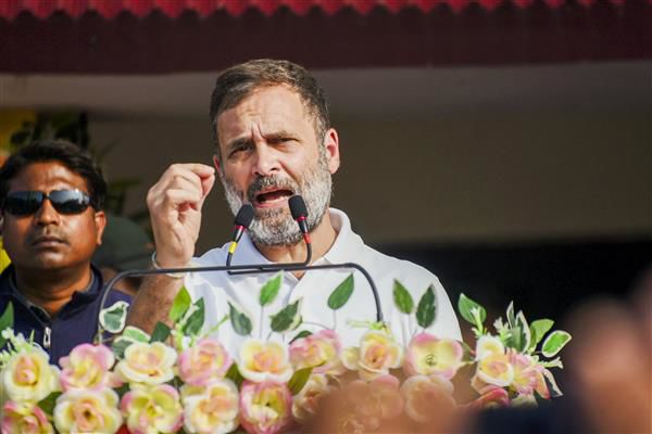 UP court gives Rahul Gandhi bail in 2018 defamation case for remarks against Home Minister Amit Shah