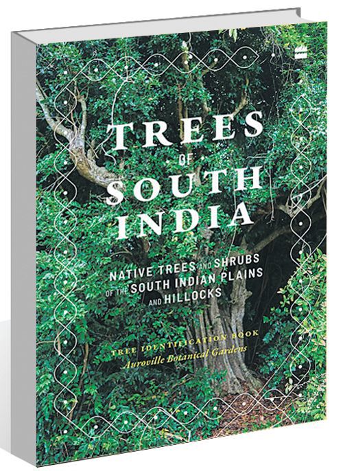 ‘Trees of South India’ by Paul Blanchflower and Marie Demont: Restoring glory to a landscape on brink of collapse