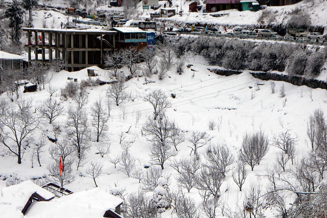 Less snow leaves Himachal apple growers dissatisfied