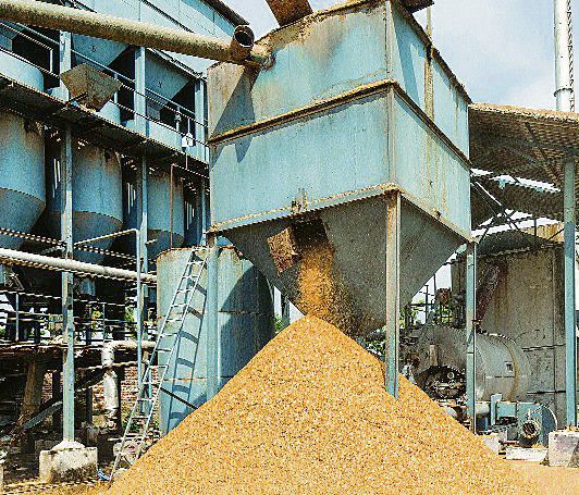 Karnal: Shortfall of paddy at three mills shows disparities in purchase