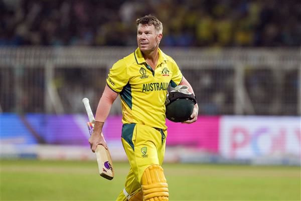 Australia’s David Warner misses 3rd T20I against New Zealand, likely to be fit for IPL