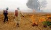 Govt in a fix over action in farm fire cases