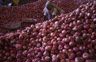 Centre allows onion exports till March 31