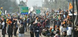 Farmers' protest: High Court petition seeks judicial inquiry into youth’s death at Khanauri border