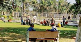Company Bagh Park in Jalandhar turns haven for gamblers