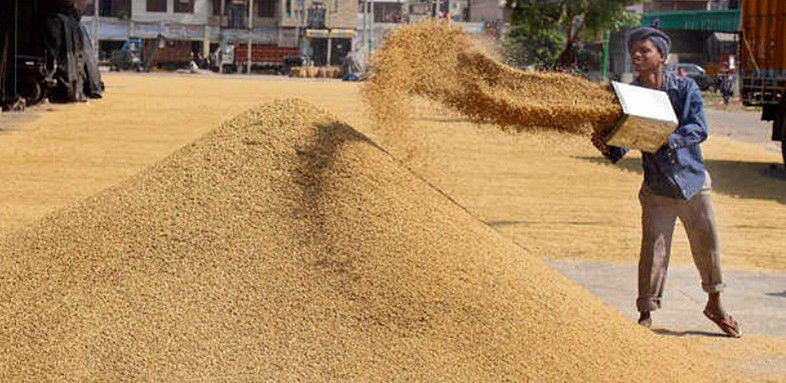 Wheat procurement  to begin from April 1