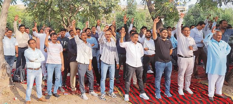 Panchkula: Work affected as HAFED employees hold protest