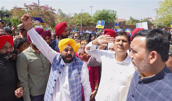 Arvind Kejriwal will be released, bring revolution in country: Punjab CM Bhagwant Mann