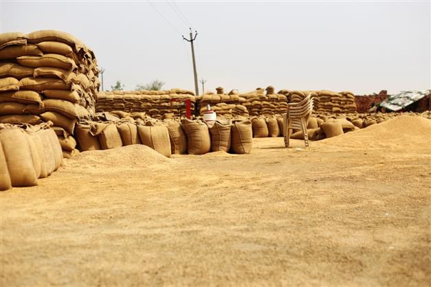 DC reviews preparations for wheat purchase in Panchkula