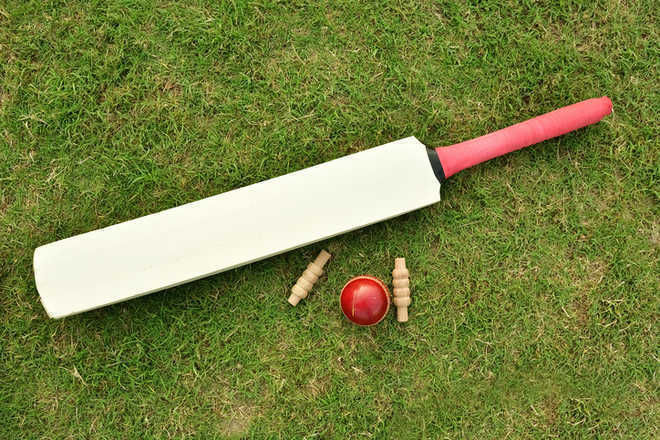 Ludhiana score 312  in first innings against Faridkot
