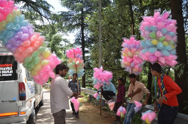 Manufacturing, storage, distribution or sale of cotton candy prohibited in Himachal Pradesh for one year