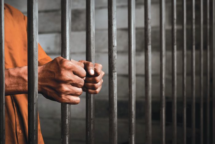 Chandigarh: Court sentences man to 12 yrs in jail in drugs case