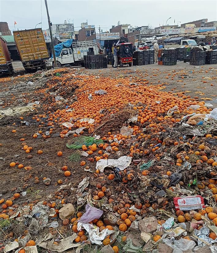 Amritsar: Vallah vegetable, fruit market grapples with unhygienic conditions
