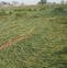 Farmers upload data on rabi crop loss across 3.2 lakh acres