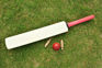 Mohali secure 3 points against Ludhiana