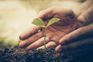 Over 2,000 saplings planted in Ladakh