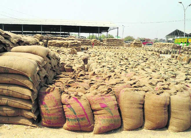 Abohar: Speed up wheat lifting, DC warns contractors