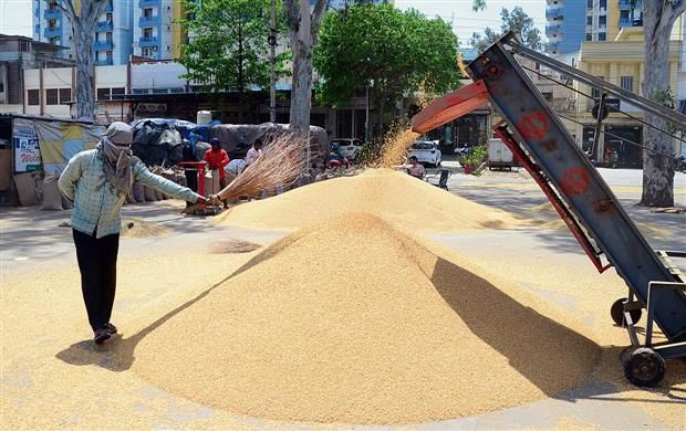 Ensure wheat lifting within stipulated time frame: DC