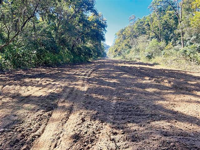 Forest Department steps up measures to curb wildfires