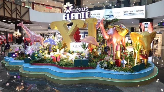 Chandigarh's Nexus Elante mall marks its 11th anniversary