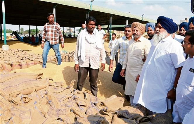 Sukhbir Badal blames Punjab Govt for tardy wheat lifting