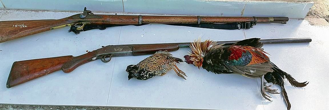 Nurpur: 2 poachers nabbed with dead birds, guns