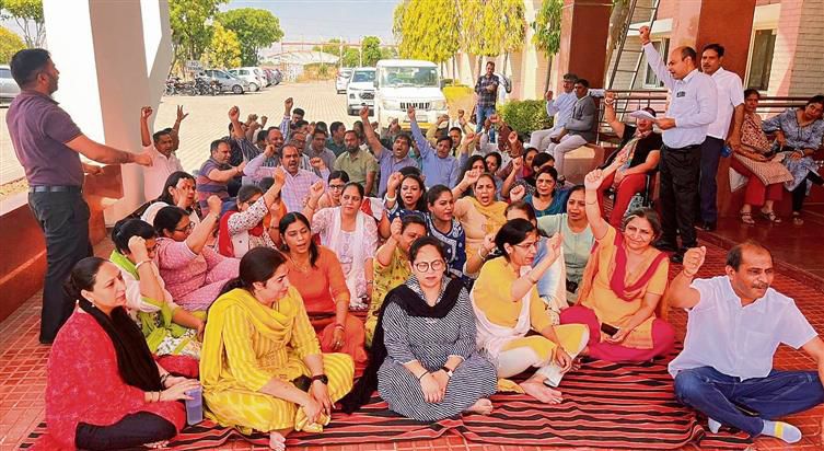 Murthal: Deenbandhu Chhotu Ram University teachers protest ‘bias’ in appointments