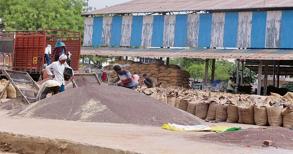Gurugram officials pulled up for slow lifting of wheat, mustard