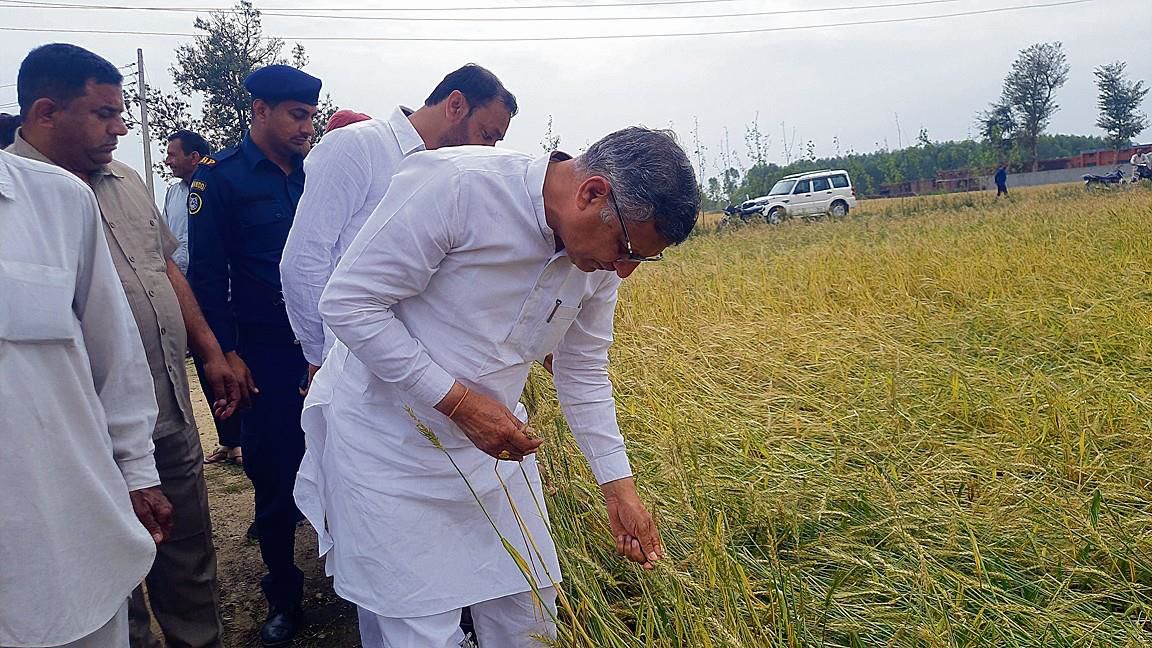 Help farmers raise claims for crop loss, Haryana Agri Minister tells officials