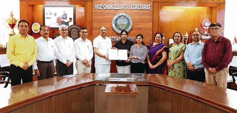 Haryana Agricultural University gets patent for handicraft chair design