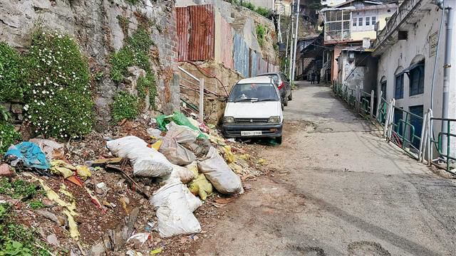 Garbage littered on roadside