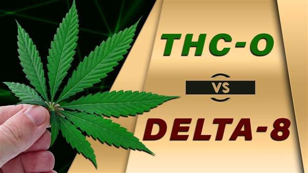 THC-O vs Delta-8: What’s the Difference Between the Two Cannabinoids?