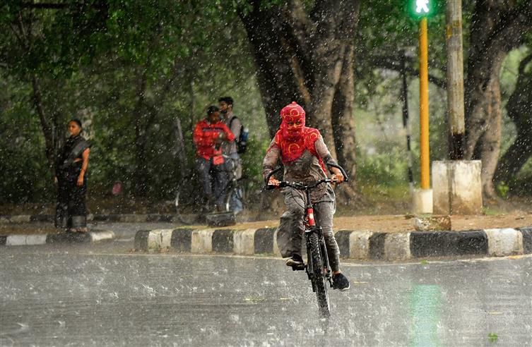 12mm evening rain cools Chandigarh