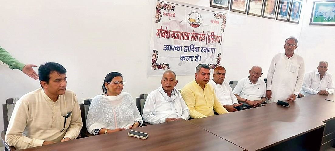 Haryana Gaushala Mahasangh: elease funds by June 15, else will hand over shelter keys to DCs