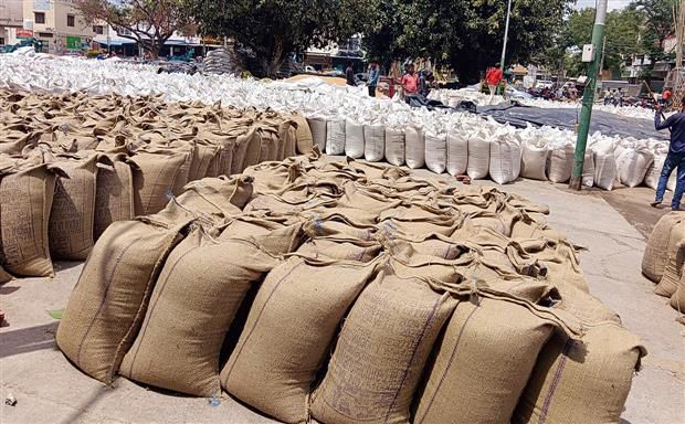 67% procured wheat lying in open in Sangrur