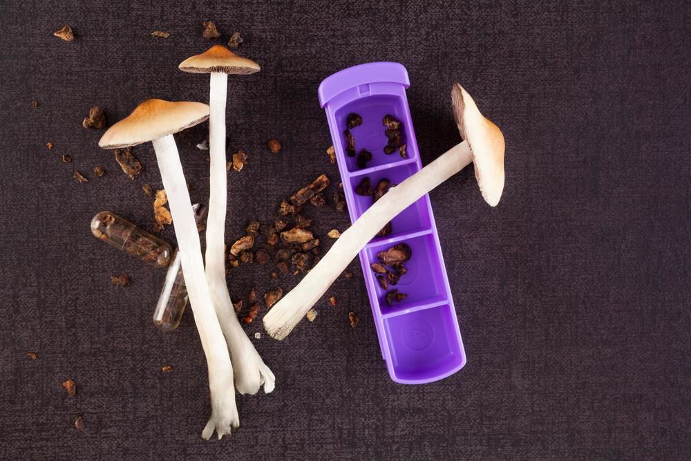 Are Magic Mushrooms Illegal? Historical Context, Legality, Benefits, and Risks
