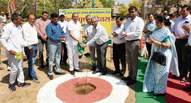 Tree plantation drive at Haryana Agricultural University