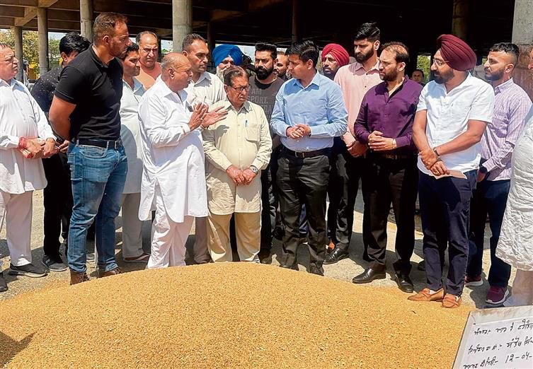 Wheat procurement starts  at Bhogpur grain market