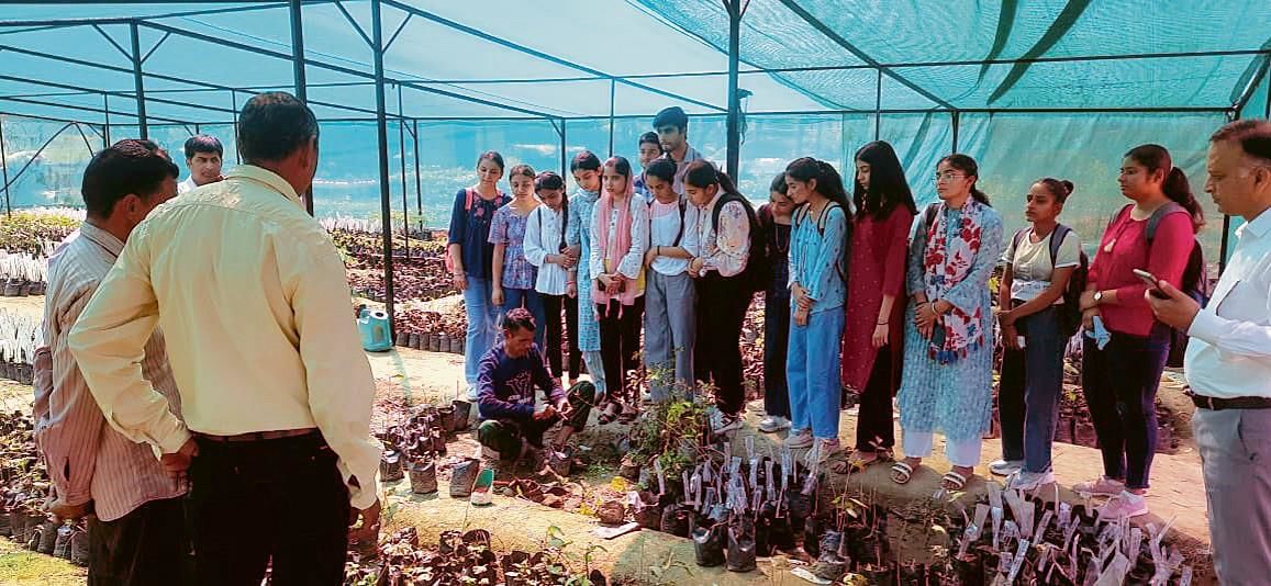Nurpur: Pupils learn all things flora