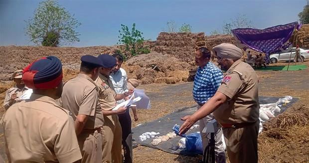 Jalandhar: 39 kg poppy husk, 2.8 kg heroin destroyed