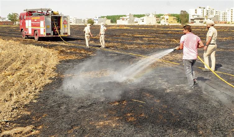 Accidental fire burns standing wheat crop, stubble on 25 acres