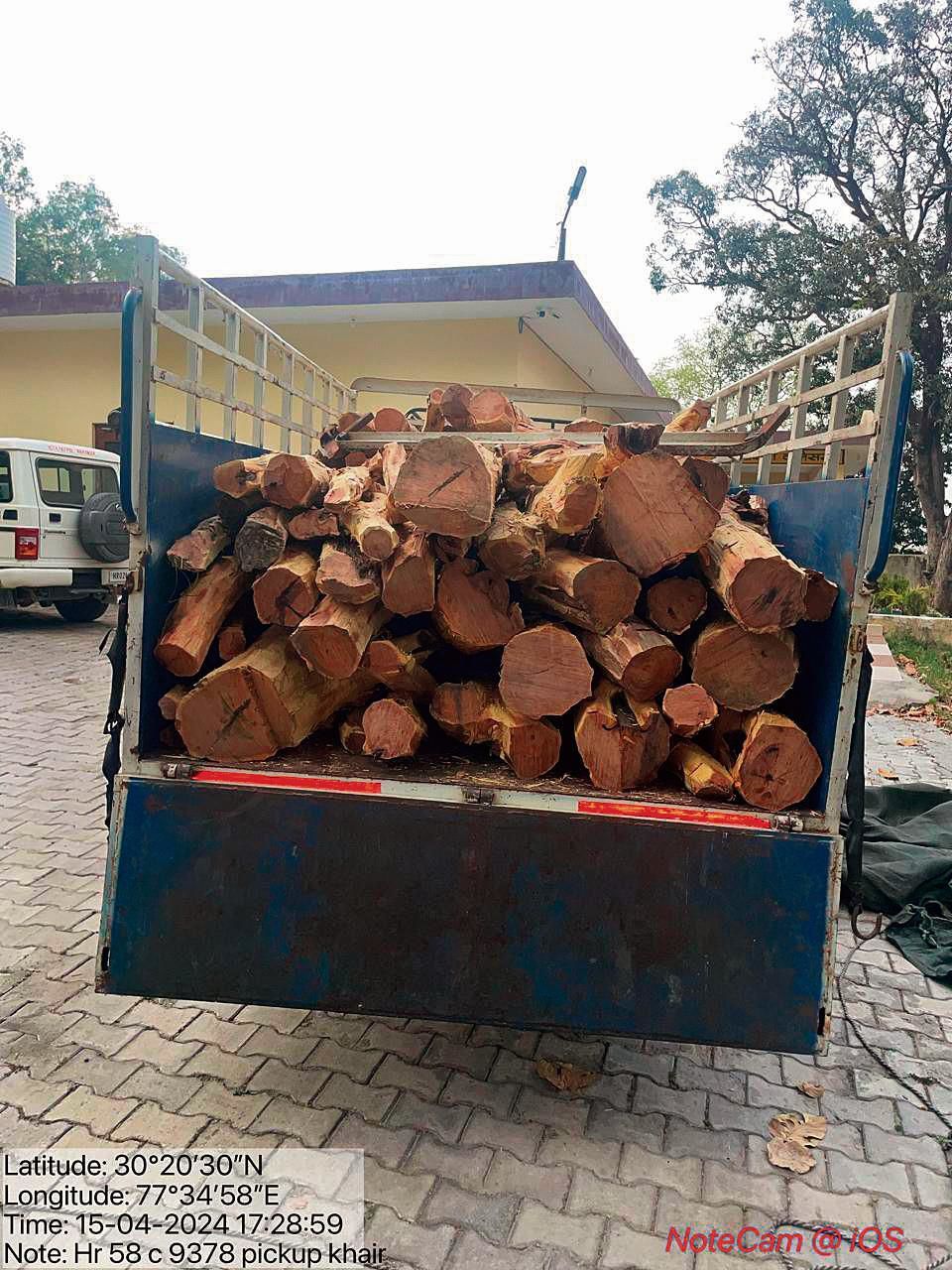 Yamunanagar: 2 held with 15 quintals of illegal khair wood