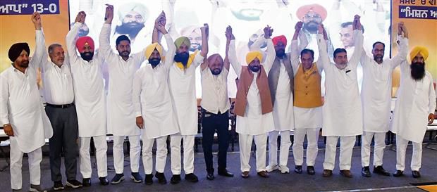 ‘Vote to save democracy’: Bhagwant Mann starts AAP campaign in Punjab