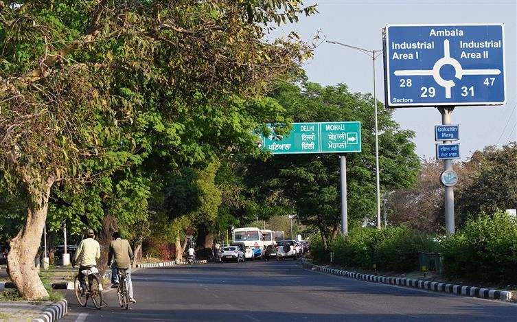Tribune chowk flyover plan: ‘Axing of trees to cause irreparable green loss’