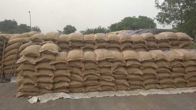 Hisar, Bhiwani mandis choked with wheat due to tardy lifting of stock