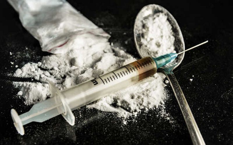 Himachal: Samiti urges Election Commission to check drug abuse