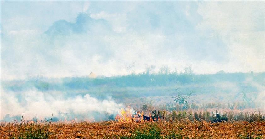45 farm fires in 13 days, cases see upswing; Gurdaspur tops with 11