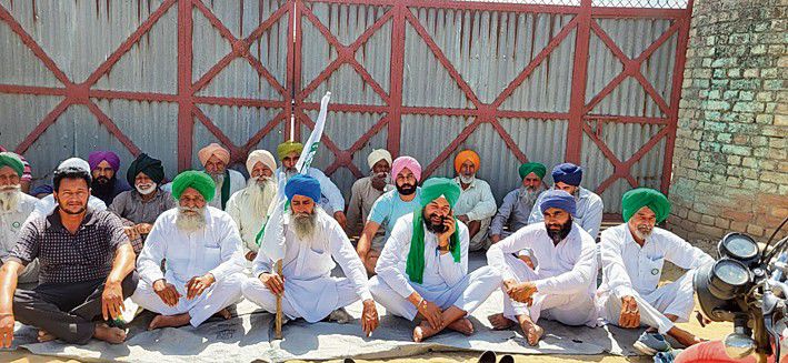 Farmers protest smuggling of Bihar rice into Punjab