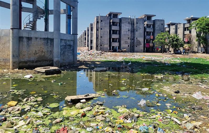 Cleanliness a distant dream for residents of Giaspura flats